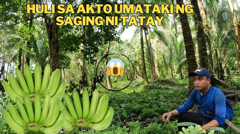 Tatay huli sa pangri.